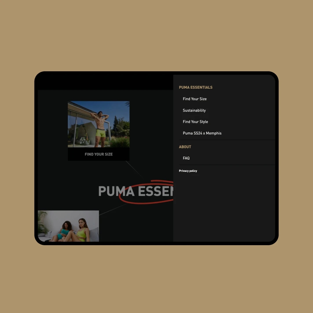 Puma tablet interface