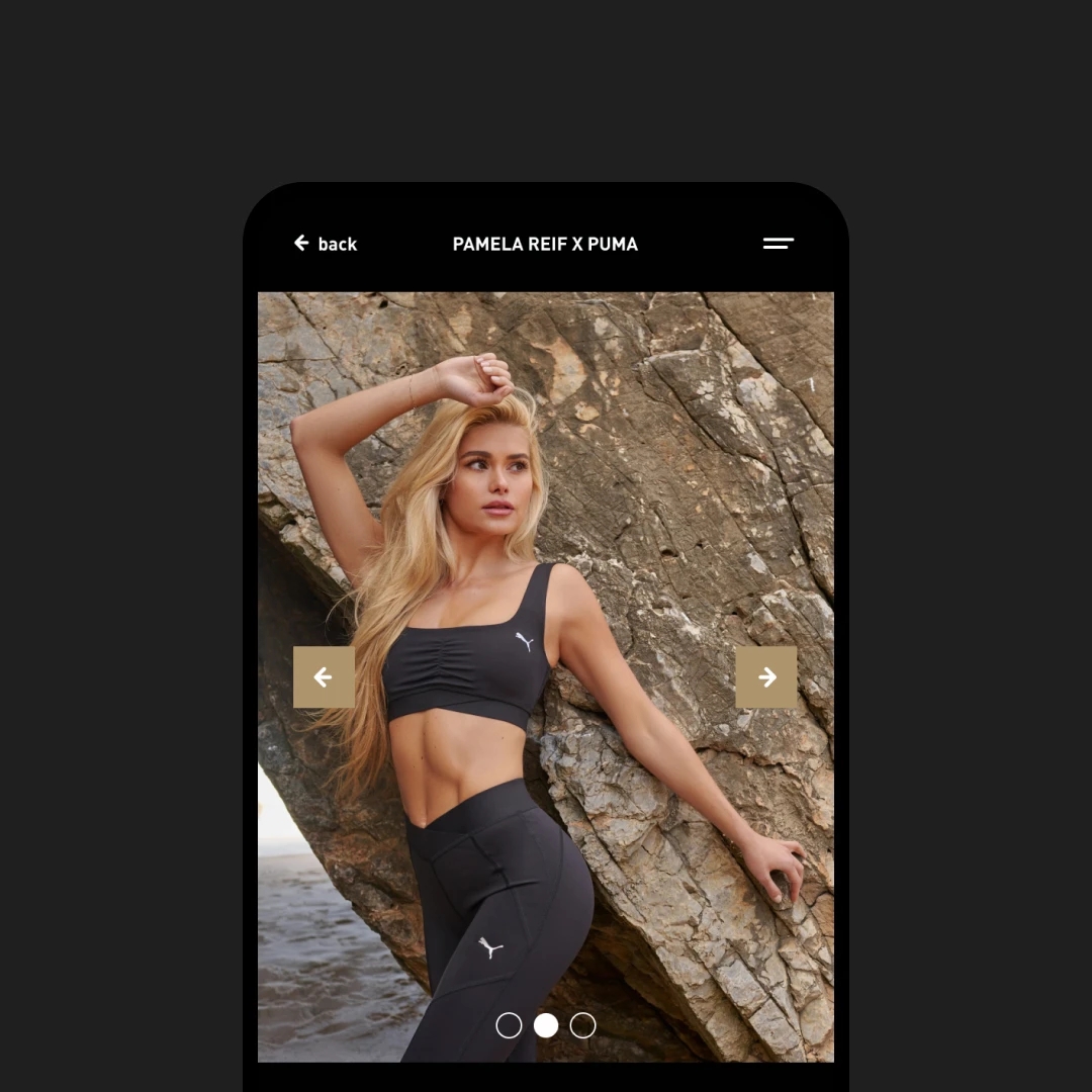Puma mobile interface